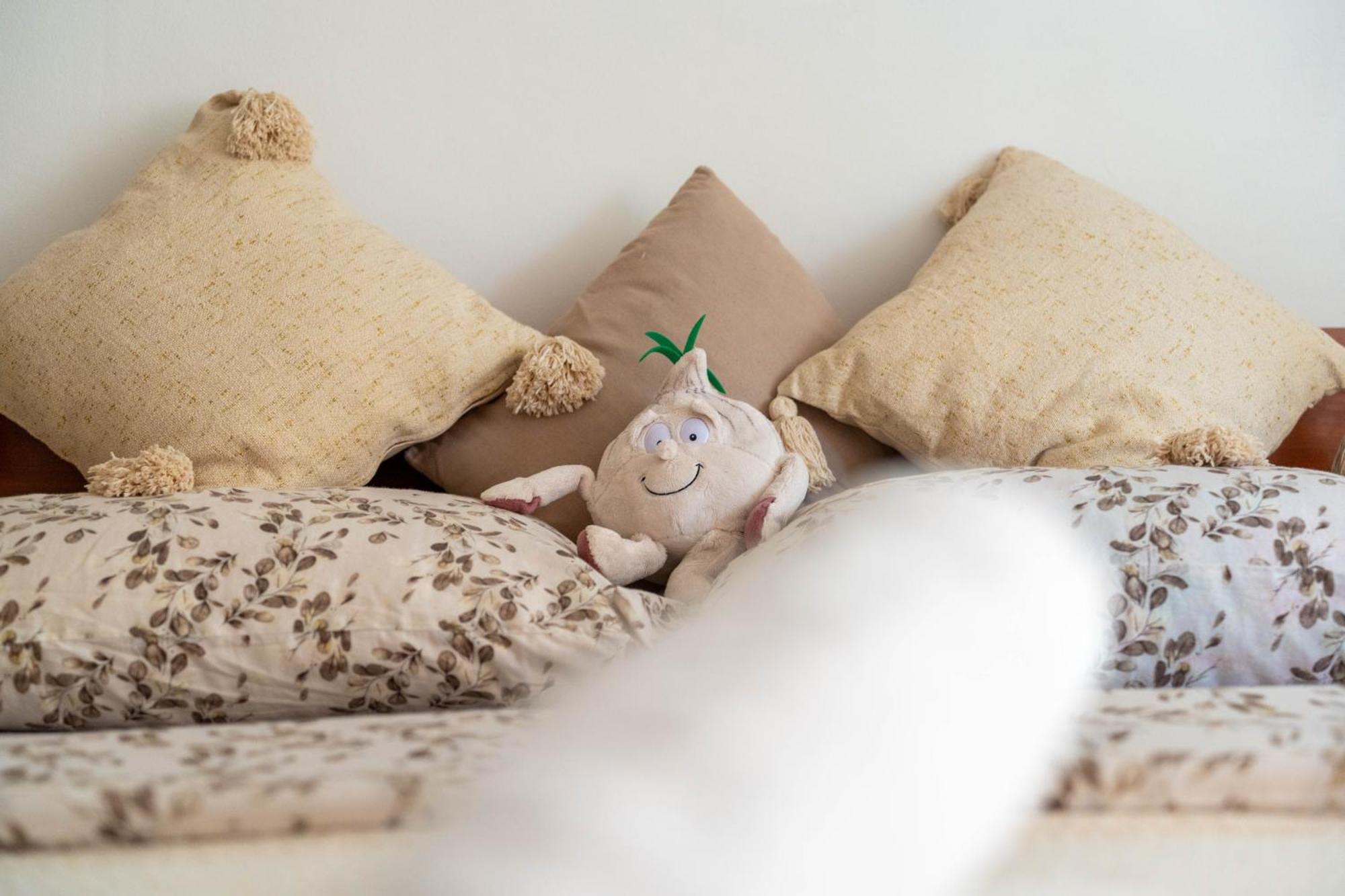 קנין Apartman Lili מראה חיצוני תמונה